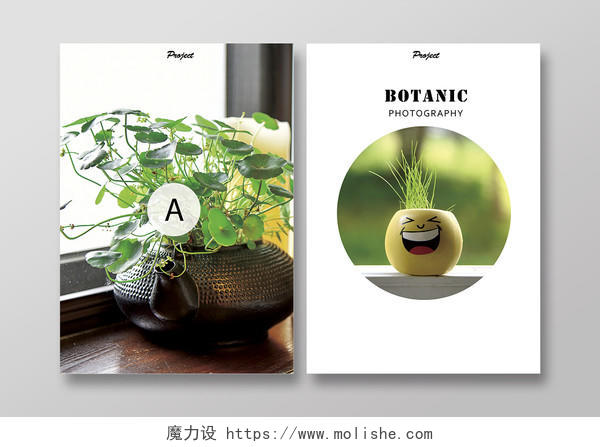 简约小盆栽植物摄影画册封面